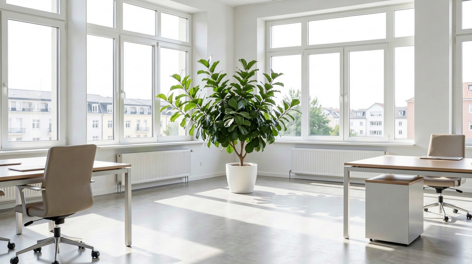 Our welcoming coaching space in Essen